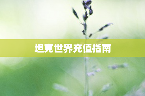 坦克世界充值指南图片