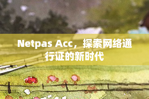 探索网络通行证的新时代图片
