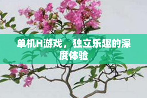 独立乐趣的深度体验图片