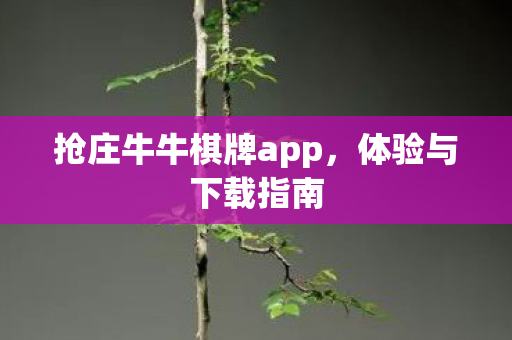 抢庄牛牛棋牌app图片