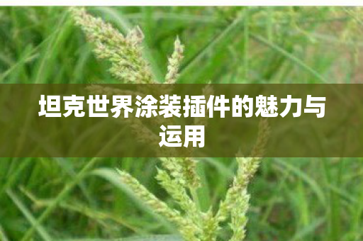 坦克世界涂装插件的魅力与运用图片