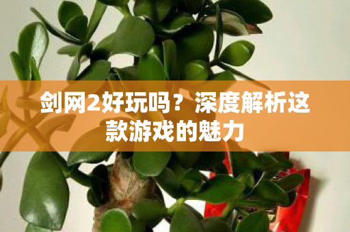 深度解析这款游戏的魅力图片