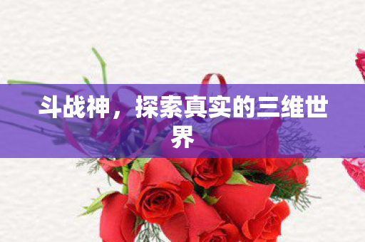 探索真实的三维世界图片