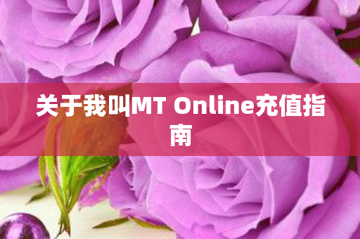 关于我叫MT Online充值指南图片
