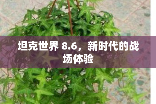 新时代的战场体验图片