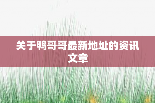 关于鸭哥哥最新地址的资讯文章图片
