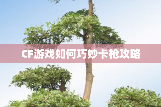 CF游戏如何巧妙卡枪攻略图片