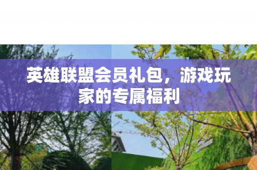 游戏玩家的专属福利图片