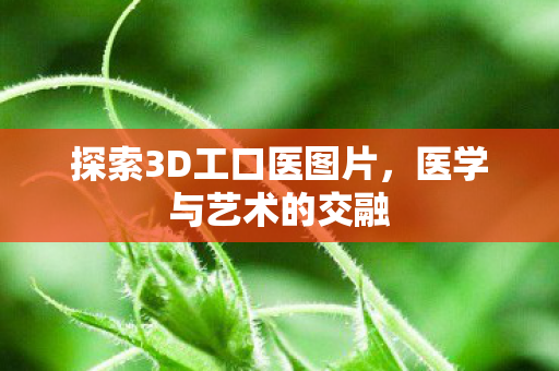 探索3D工口医图片图片