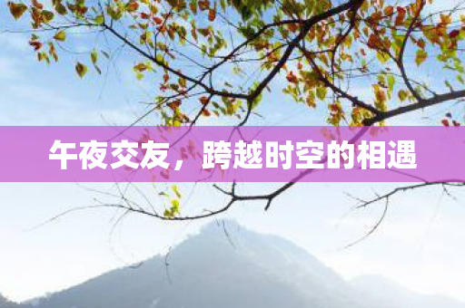 跨越时空的相遇图片