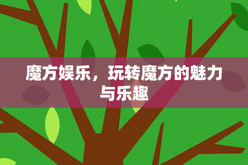 玩转魔方的魅力与乐趣图片