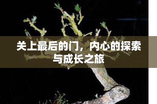 内心的探索与成长之旅图片