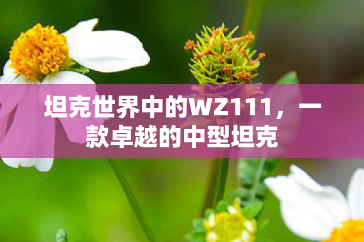 坦克世界中的WZ111图片