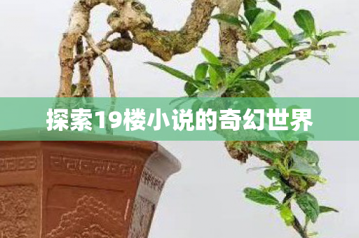 探索19楼小说的奇幻世界图片