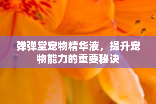 提升宠物能力的重要秘诀图片