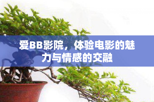体验电影的魅力与情感的交融图片
