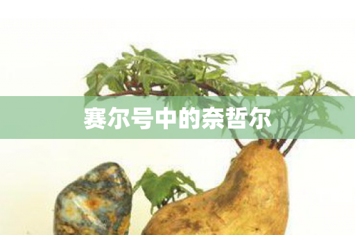 赛尔号中的奈哲尔图片