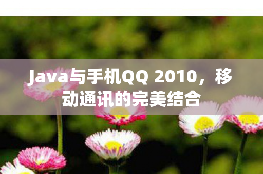 Java与手机QQ 2010图片