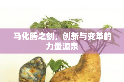 创新与变革的力量源泉图片