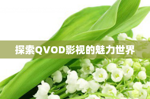 探索QVOD影视的魅力世界图片