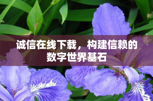 构建信赖的数字世界基石图片