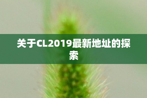 关于CL2019最新地址的探索图片