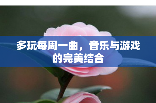 音乐与游戏的完美结合图片