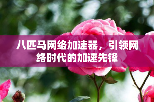 引领网络时代的加速先锋图片