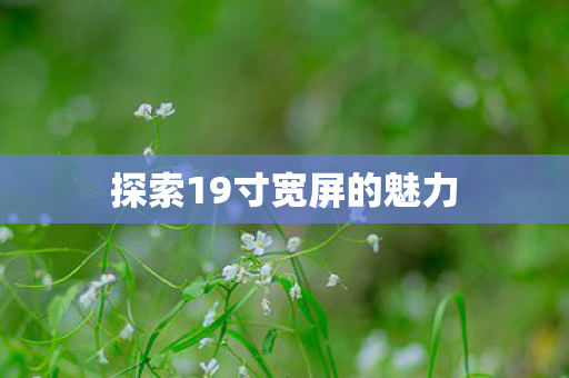 探索19寸宽屏的魅力图片