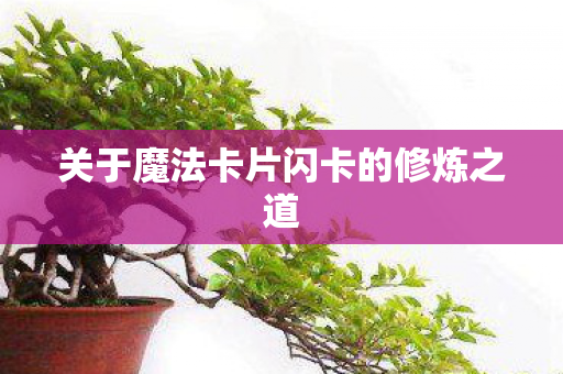 关于魔法卡片闪卡的修炼之道图片