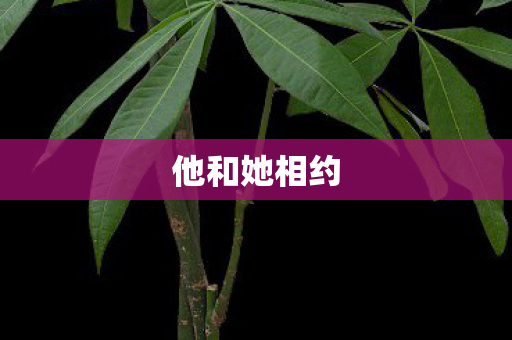 他和她相约图片