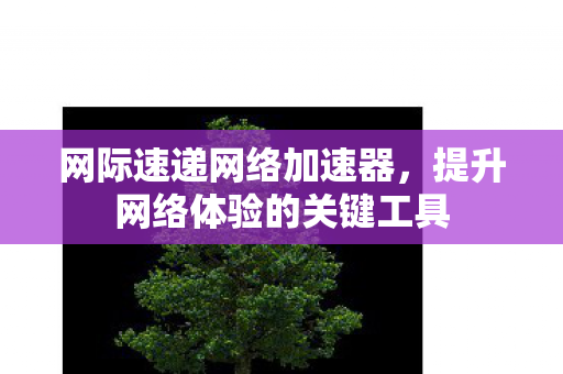 提升网络体验的关键工具图片
