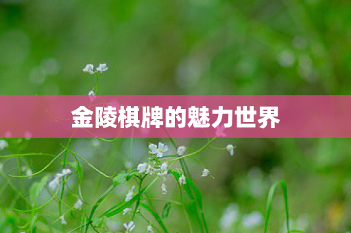 金陵棋牌的魅力世界图片