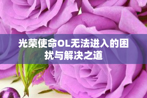 光荣使命OL无法进入的困扰与解决之道图片