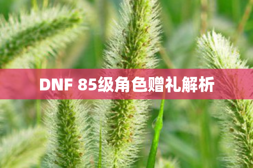 DNF 85级角色赠礼解析图片