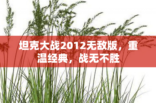 坦克大战2012无敌版图片