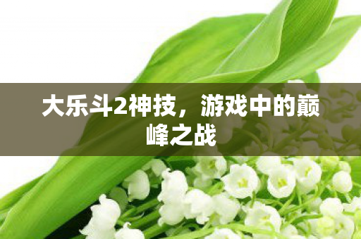 游戏中的巅峰之战图片