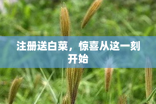 惊喜从这一刻开始图片