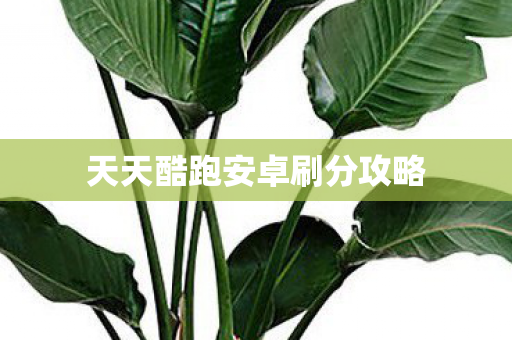 天天酷跑安卓刷分攻略图片