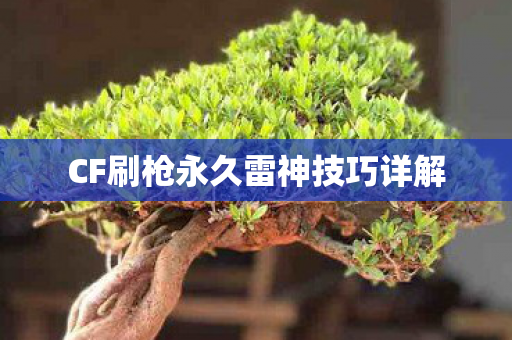 CF刷枪永久雷神技巧详解图片