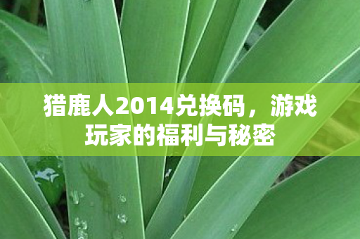 猎鹿人2014兑换码图片