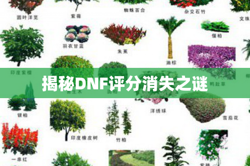 揭秘DNF评分消失之谜图片