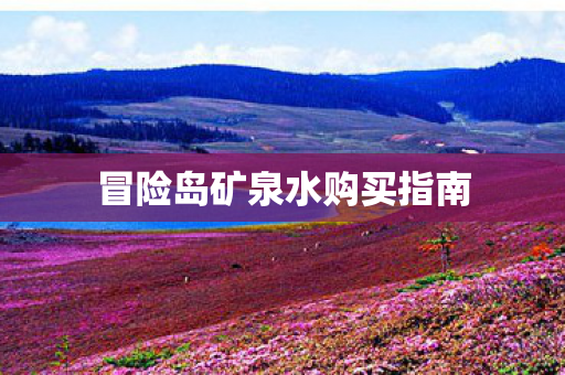 冒险岛矿泉水购买指南图片