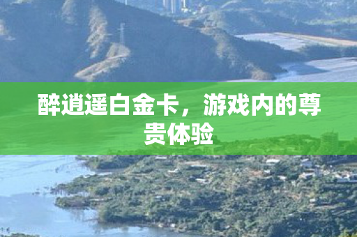 游戏内的尊贵体验图片