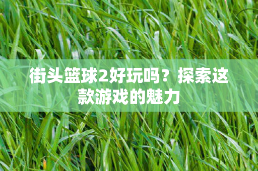 探索这款游戏的魅力图片