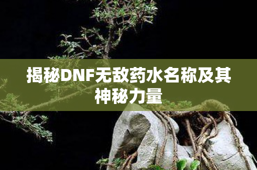 揭秘DNF无敌药水名称及其神秘力量图片