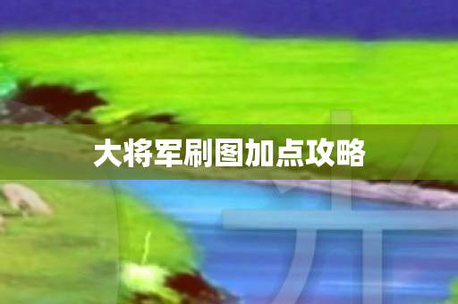 大将军刷图加点攻略图片