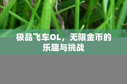 无限金币的乐趣与挑战图片