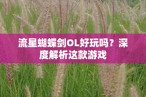 流星蝴蝶剑OL好玩吗图片