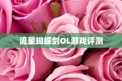 流星蝴蝶剑OL游戏评测图片